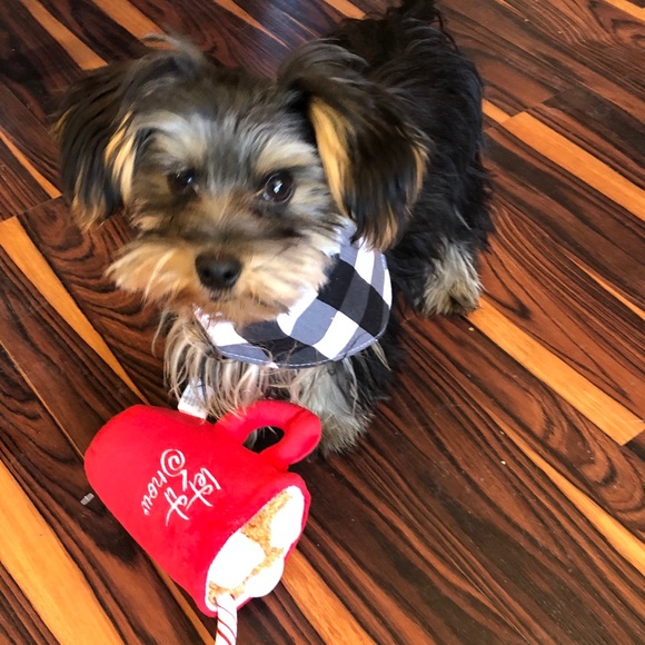 Meet your Posher, Kathleen - Picture 4 of 6